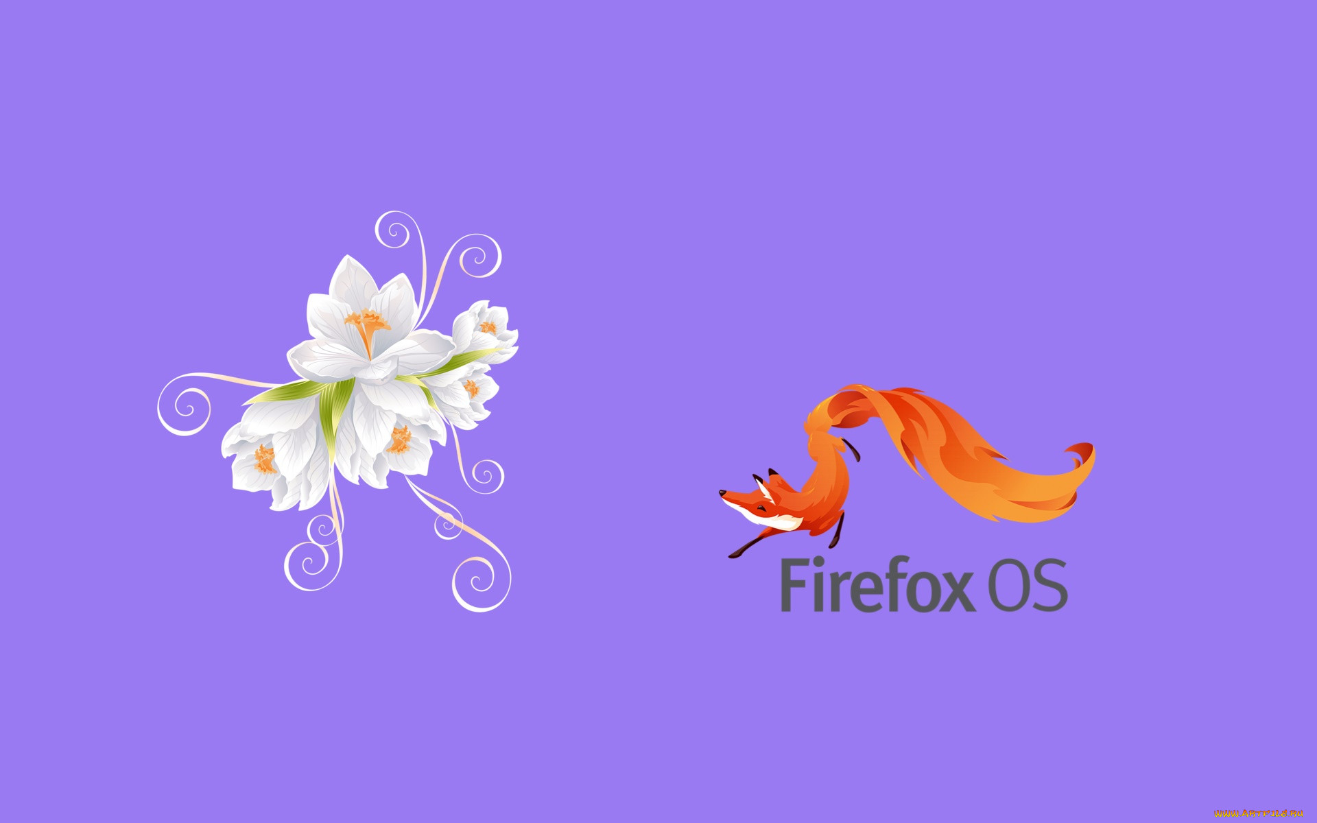 , mozilla firefox, , 